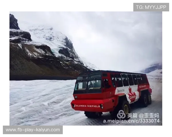 _南极冰原跑：在极地白雪中追逐梦想_，南极冰原阅读答案